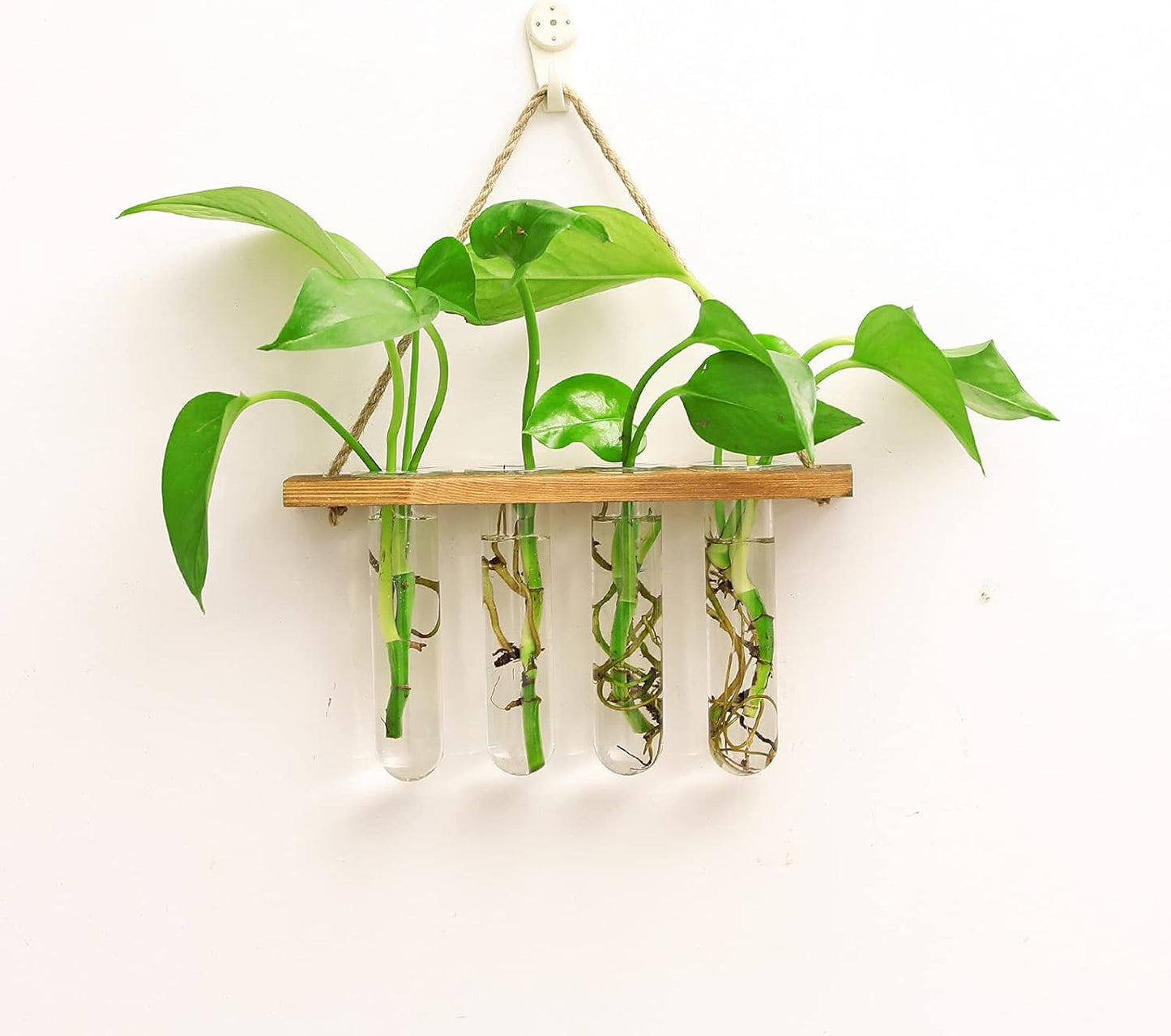 Wall Hanging Mounted Planter Glass Terrarium with Wooden Holder and 4 Test Tube Vase for Propagation Hydroponics Plants Cuttings Home Office Decoration, Brown