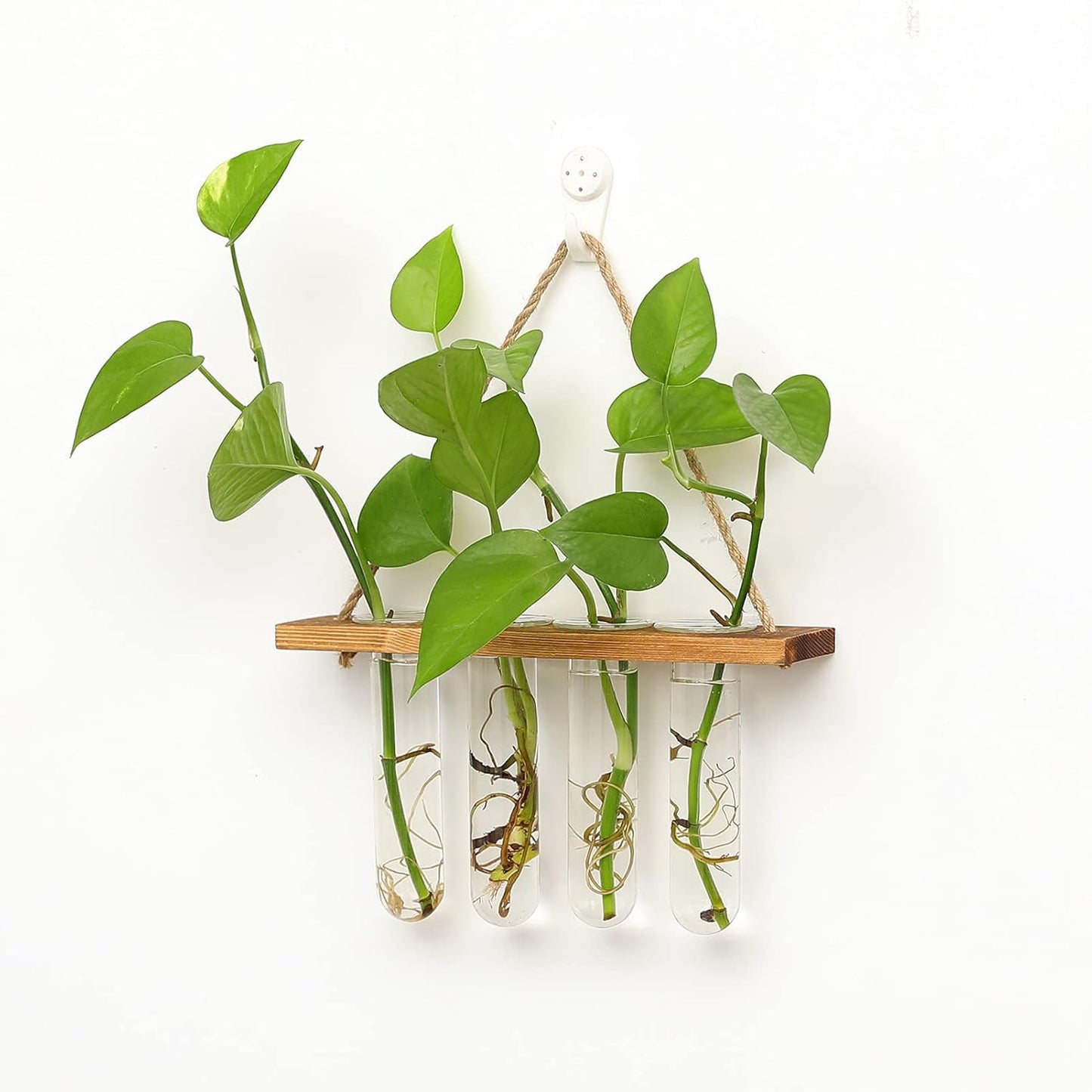 Wall Hanging Mounted Planter Glass Terrarium with Wooden Holder and 4 Test Tube Vase for Propagation Hydroponics Plants Cuttings Home Office Decoration, Brown