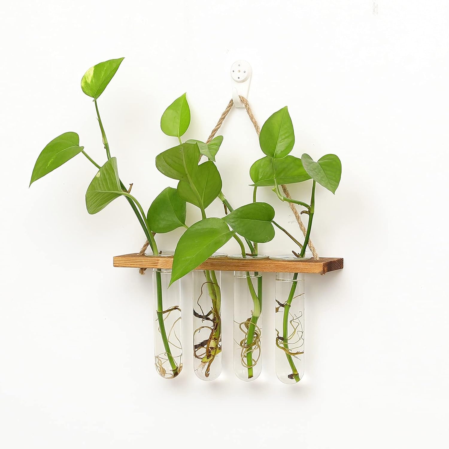 Wall Hanging Mounted Planter Glass Terrarium with Wooden Holder and 4 Test Tube Vase for Propagation Hydroponics Plants Cuttings Home Office Decoration, Brown