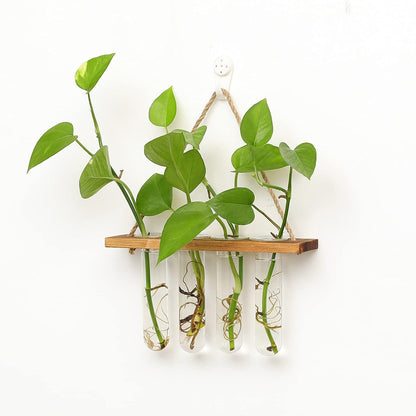 Wall Hanging Mounted Planter Glass Terrarium with Wooden Holder and 4 Test Tube Vase for Propagation Hydroponics Plants Cuttings Home Office Decoration, Brown